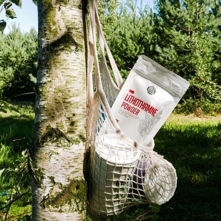 Diät-Nahrungsmittel Lithothamne - Meeresalgen, Pulver, 100 g