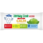Healthy Lollipop Student Calm, zuckerfrei, Apfel-Minze-Geschmack, Display, 40 Stück.