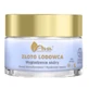 Ava Glacier Gold, face cream, active regeneration, 50 ml