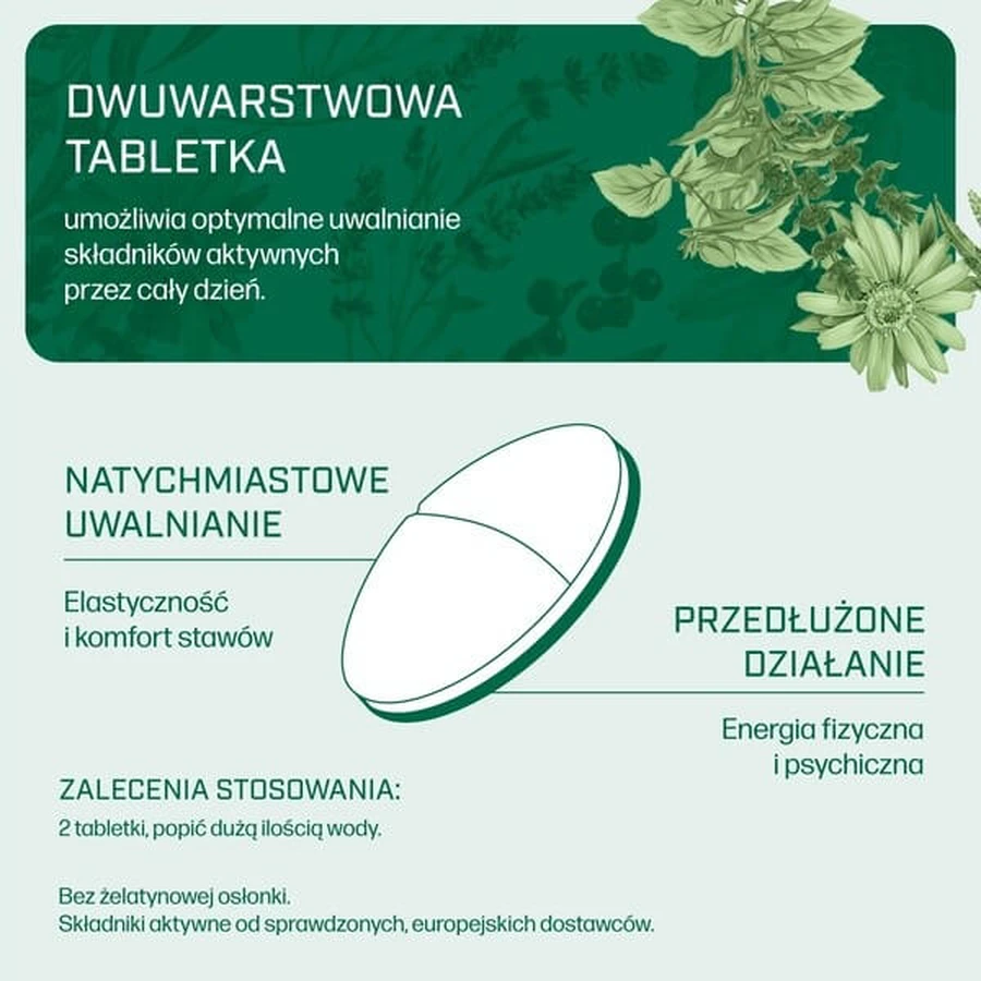 Iana Joint Flexibility + Energy, comprimidos, 60 uds.