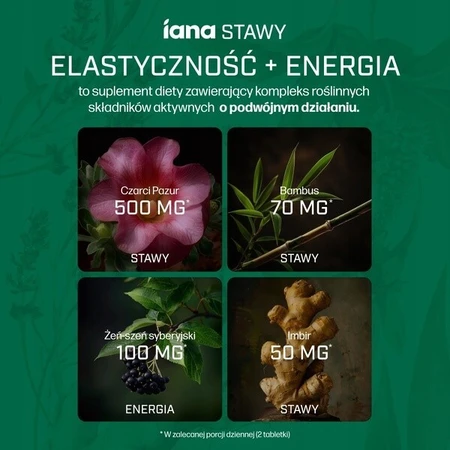 Iana Joint Flexibility + Energy, comprimidos, 60 uds.
