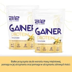 ALE Gainer Protein Vanilla Flavor, powder, 1000 g