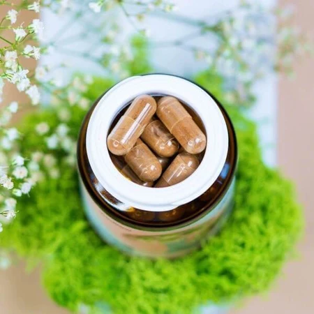 Wellbear Shiitake (madera dura japonesa) 400 mg, cápsulas, 60 uds.