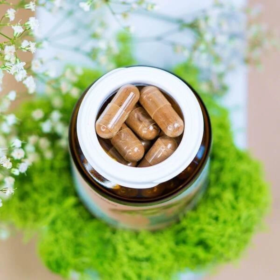 Wellbear Shiitake (madera dura japonesa) 400 mg, cápsulas, 60 uds.