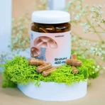 Wellbear Shiitake (madera dura japonesa) 400 mg, cápsulas, 60 uds.