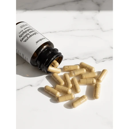 Sundose Silymarin, foliumzuur en fosfolipiden, capsules, 30 st.