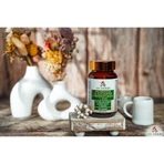 My Herbs Probiotic 16 Strains met Prebiotic + FOS, capsules, 60 stuks.