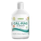 Swedish Nutra Cal-Mag, vloeibaar, citroensmaak, 500 ml