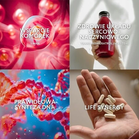 Endotelio Life Synergy, capsules, 30 pcs.