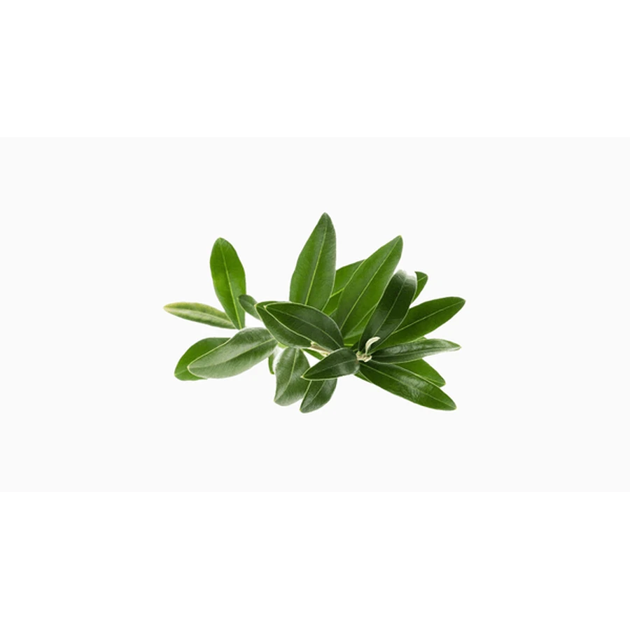 Omega 3 Algae, soft capsules, 60 pcs.