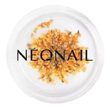 NeoNail, decoración de uñas, flores, naranja, 1 ud.