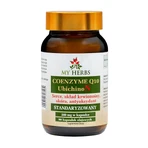 My Herbs Co-enzym Q10 UbichinoN, capsules, 90 st.