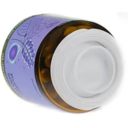 Wellbear Kudzu 500 mg, Kapseln, 60 Stück.