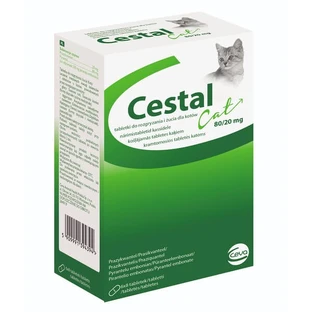 Cestal Cat 80 /20 mg, comprimidos masticables para gatos, 48 uds.