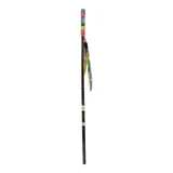 Beeztees Canne à pêche avec cordes arc-en-ciel, jouet pour chat, 70 cm, 1 pc.