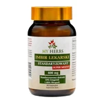 Bio Herbs Ingwer, Kapseln, 80 Stk.