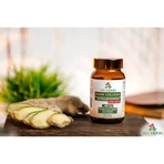 Bio Herbs Ingwer, Kapseln, 80 Stk.