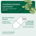 Iana Gewrichten Gezonde Gewrichten + Goede Stemming, tabletten, 60 stuks.