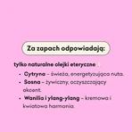 Mydlarnia 4 Szpaki, moisturizing hair conditioner, Burdock and Gooseberry, 300 ml