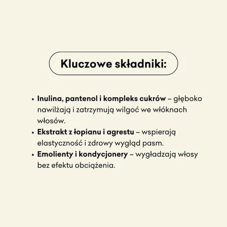 Mydlarnia 4 Szpaki, moisturizing hair conditioner, Burdock and Gooseberry, 300 ml