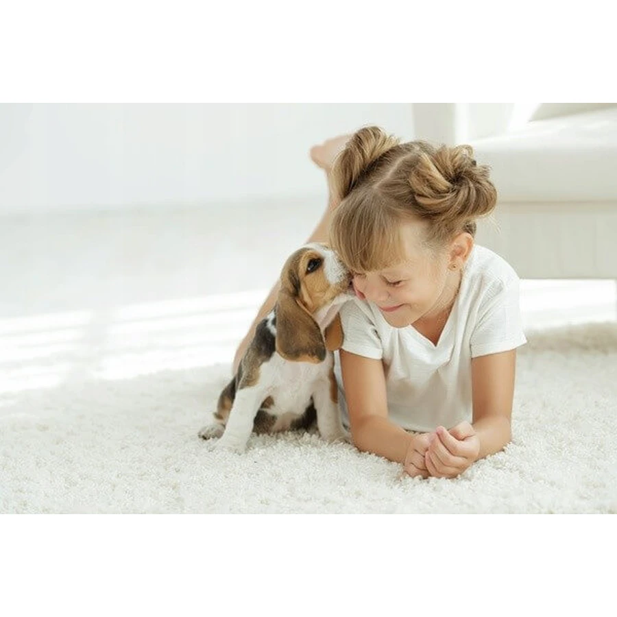 Dr. Lucy Home 4, champú para cachorros, 250 ml