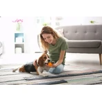 Dr. Lucy Home 3, Shampoo für Hunde mit kurzem, glattem Fell, 250 ml