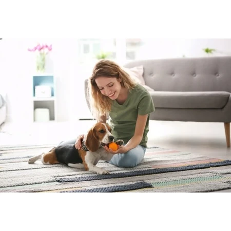 Dr. Lucy Home 3, Shampoo für Hunde mit kurzem, glattem Fell, 250 ml