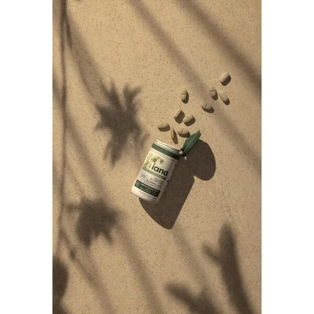 Iana Joints Knorpel Immunität + Gesunder Schlaf, Tabletten, 60 Stk.