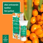 Anti-Schwellungen Augenkonturcreme mit Catina und Olivenöl, 30 ml, Cosmetic Plant