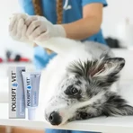 Polisept Vet Wound Gel Silver Pro, gel dressing for dogs and cats, 30 ml.