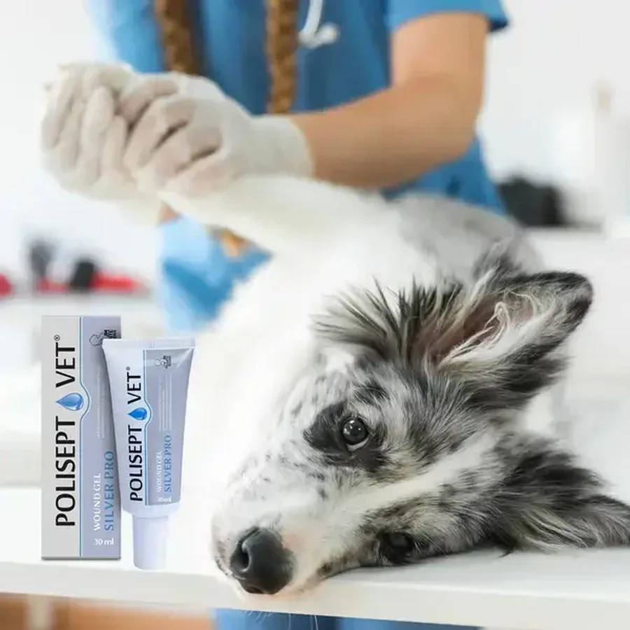 Polisept Vet Wound Gel Silver Pro, gel dressing for dogs and cats, 30 ml.