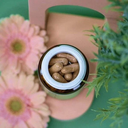 Wellbear Maca (Ginseng din Peru), capsule, 60 buc.