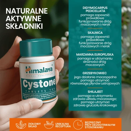 Lot de 2 x Himalaya Cystone, comprimés, 100 pcs.