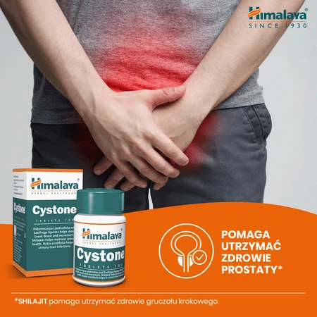 Lot de 2 x Himalaya Cystone, comprimés, 100 pcs.