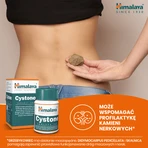 Lot de 2 x Himalaya Cystone, comprimés, 100 pcs.