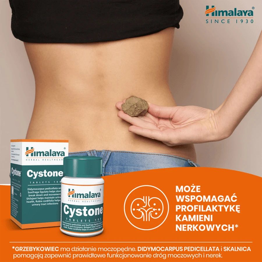 Lot de 2 x Himalaya Cystone, comprimés, 100 pcs.