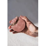 Beautifly Tongue Teaser, intieme stimulator, 1 stuk.