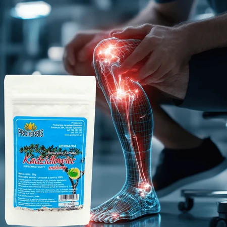 Proherbis Incienso, tisana, 50 g