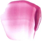 Paese Beauty Lipgloss, Lipgloss, 06 lebendig, 3,4 ml