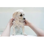Dr. Lucy Home 1, shampoo for dogs with long, flowing hair, 250 ml