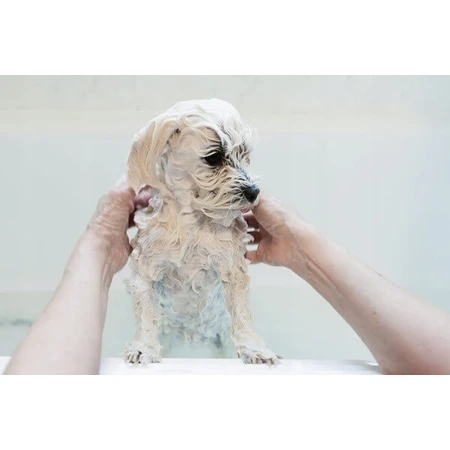 Dr. Lucy Home 1, shampoo for dogs with long, flowing hair, 250 ml