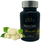 Proherbis Witte moerbei, capsules, 100 st.