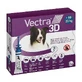 Vectra 3D Solution für Hunde 10-25 kg, Parasitenschutz, Pipetten, 3 Stück.