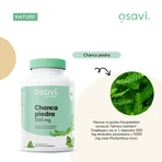 Osavi Chanca piedra 500 mg, harde capsules, 120 st.