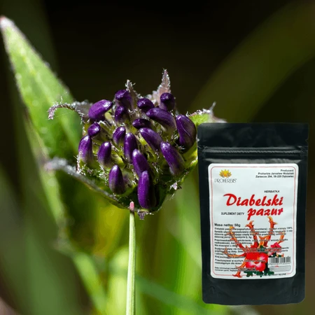 Proherbis Duivelsklauw, poeder, 50 g