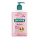 Sanytol Kitchen, antibacterial hand soap, grapefruit and lime, 250 ml