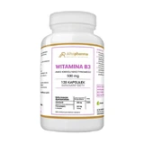 Vitamina B3 Ácido Nicotínico Amida 500 mg, cápsulas, 120 uds.