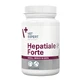 Vet Expert Hepatiale Forte small breed &amp; cats, Unterstützung der Leberfunktion für Hunde und Katzen kleiner Rassen, Kapseln, 40 Stück.
