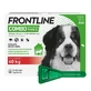 Frontline Combo Spot-on XL Dog over 40 kg, flea and tick protection, pipette drops, 4.02 ml x 3 pcs.