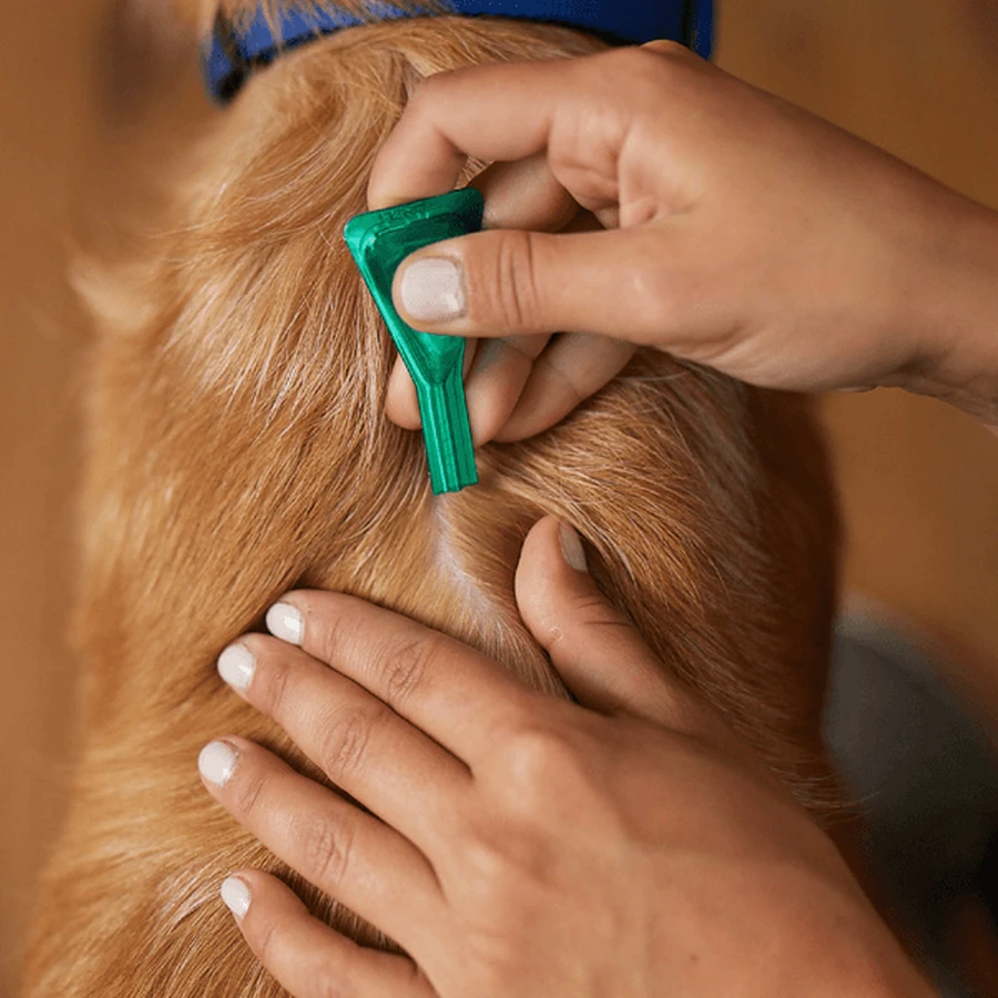 Frontline Combo Spot-on XL Dog over 40 kg, flea and tick protection, pipette drops, 4.02 ml x 3 pcs.